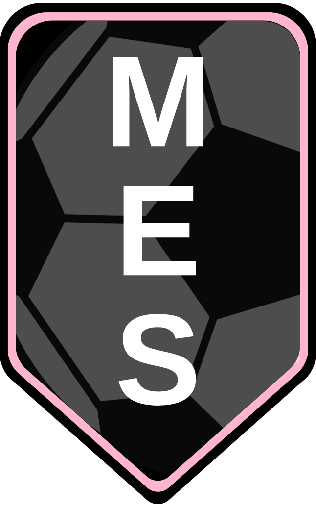 Mesports International LLC logo